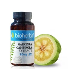 Garcinia Cambogia Extract Capsules